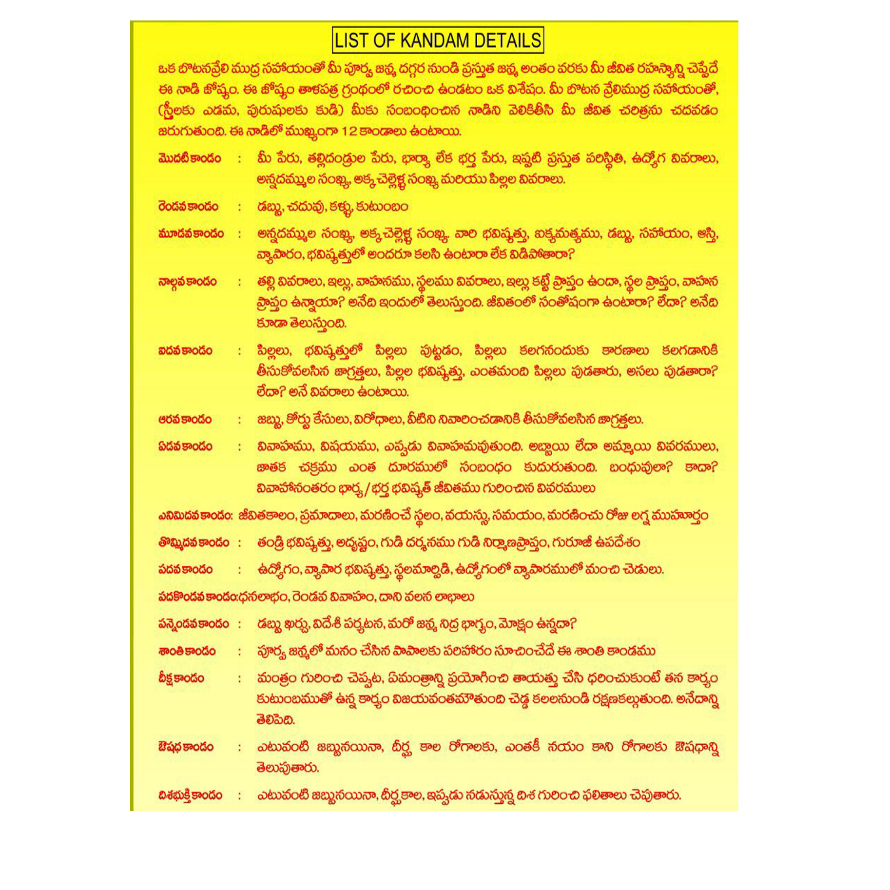 best nadi astrologer